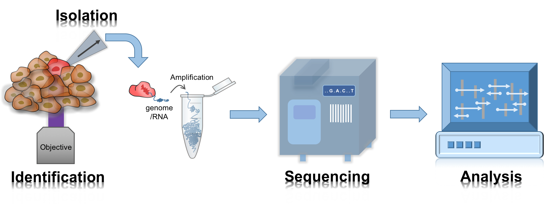 optochemistry-miao-ping-chien