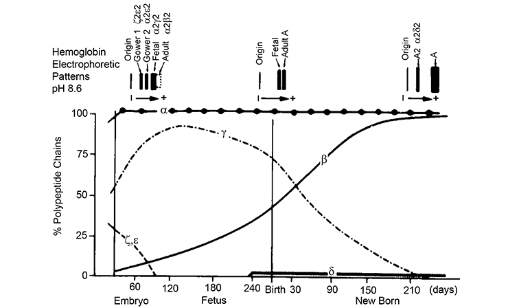 Philipsen-fig5