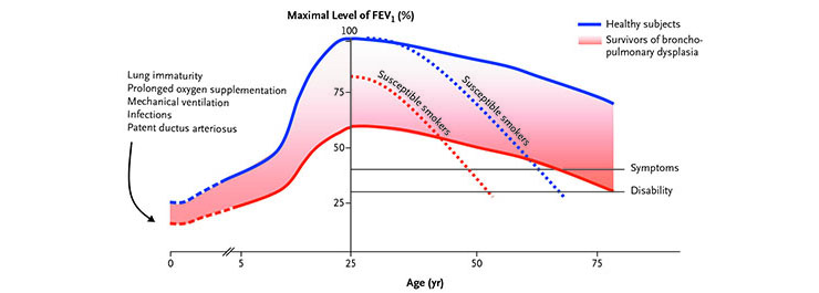 Rottier-fig3a