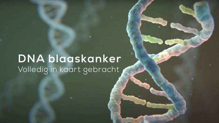 DNA blaaskanker