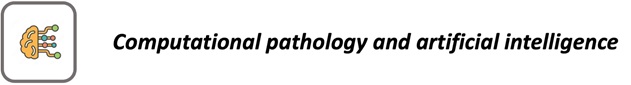 Logo computational pathology and artificial intelligence