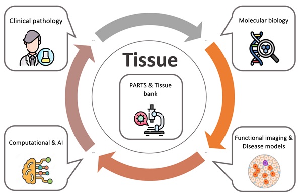 scheme pathology research