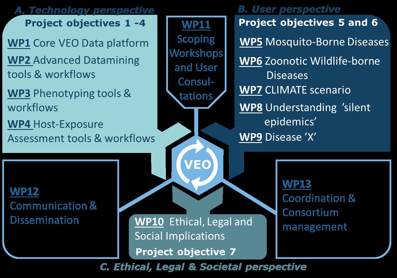 VIR VEO fig 3