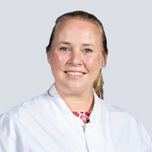 Renee van Stralen Bosboom research grijs